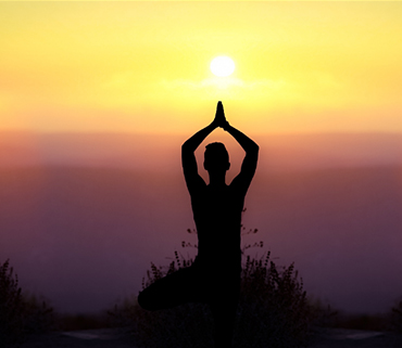 Yoga auf dem Stuhl - Flows und Sonnengrüsse